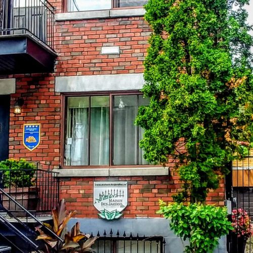20190717_130643_hdr_2